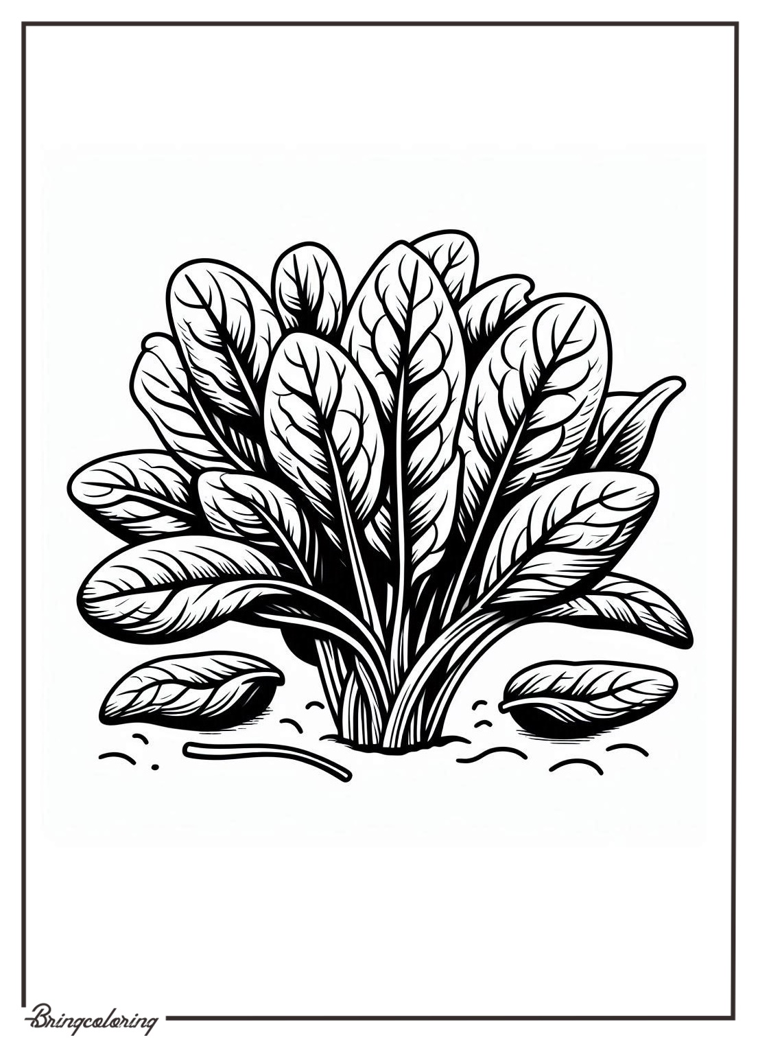 Spinach Colorin Online Pages bringcoloring.com
