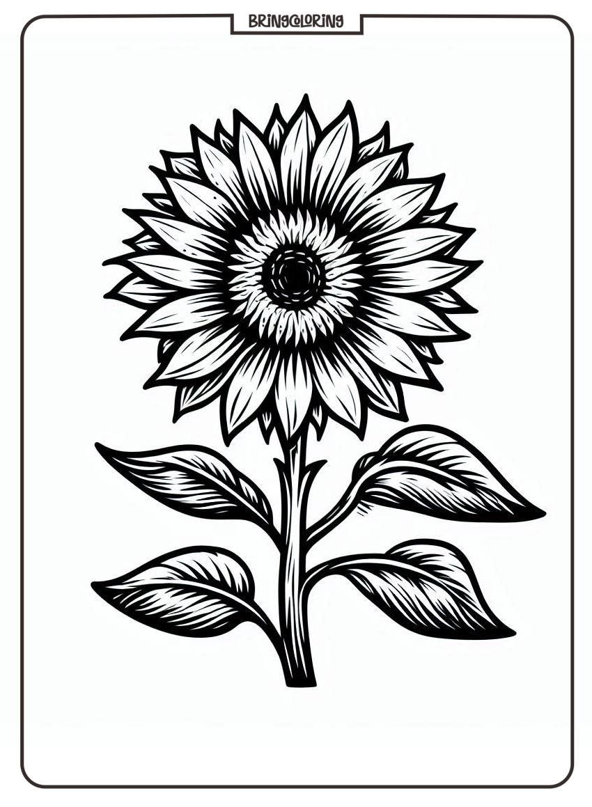 SunFlower Coloring Online Pages bringcoloring.com