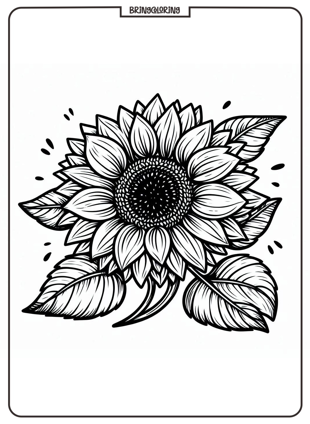 SunFlower Coloring Page bringcoloring.com